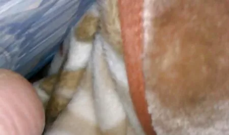 פילגש אחת אפשרה למשרתת להעמיד אותו על סרטי פורנו קצרים רגליה.